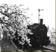 Idylle an den Bahngleisen