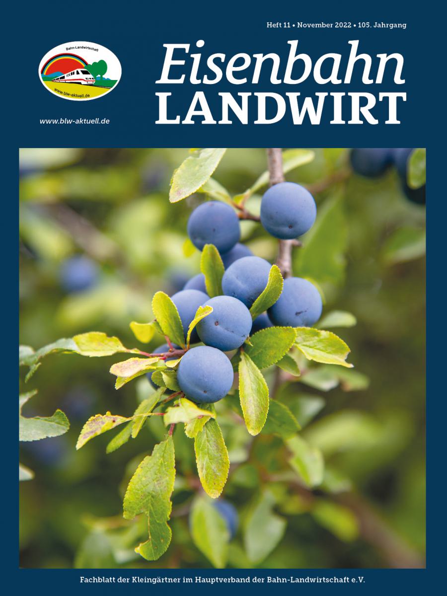 Informationen zur Pacht von Kleingärten anfordern Bahn Landwirtschaft