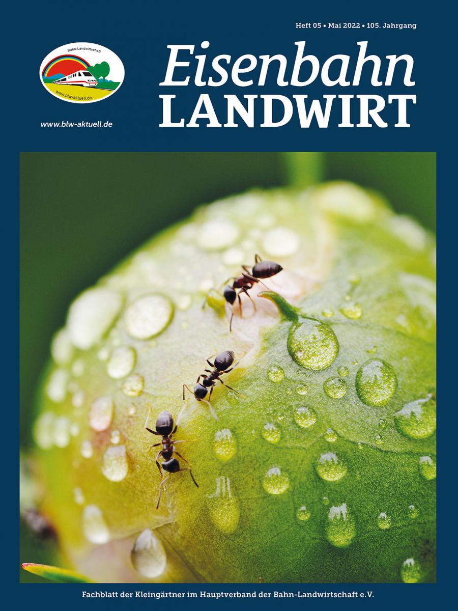 Einen Garten pachten! Welche Kosten erwarten mich? Bahn Landwirtschaft